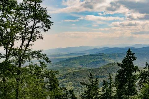 View across the forests of Alsace Stock Photos