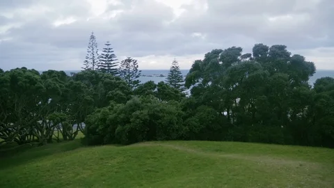 View across grassy hill in front of the Pacific Ocean Video stock 93722843