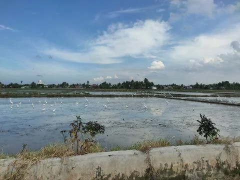 View across Stock Photos