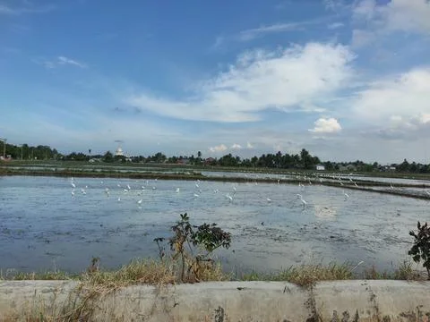 View across Stock Photos