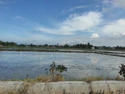 View across Stock Photos