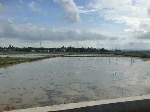 View across Stock Photos