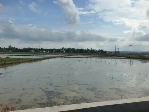 View across Stock Photos