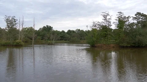 View across pond with a windmill2 4K Stock Footage 95089155