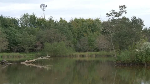 View across pond with windmill4 4K 動画素材 95089163