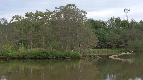 View across pond with windmill5 4K Видео 95089172
