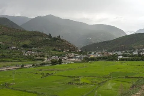 View across rice fields to township in distance Stock Photos