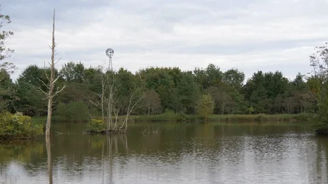 View across a serend pond with a windmill3 4K Видео 95089153