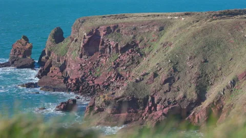 A view across St Brides Bay Pembrokeshire Stock Footage 207388868