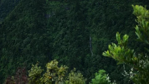 View Across Valley with Distant Waterfall, Lamington NP, Cinematic Shot Stock Footage 283833990