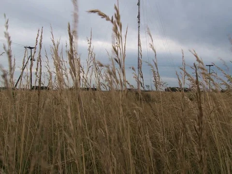 View across a wheat field 02 Stockbeeldmateriaal 128847063