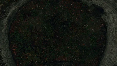 View aerial of colorful forest drone tree road car nature flight fly helicopter Video stock 109463572