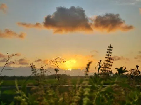 View in the afternoon 写真素材