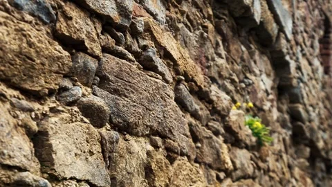 View of Aggstein Castle - Austria Aggstein Stock Footage 243379013