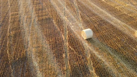 View of an agricultural field Stock Footage 165431726