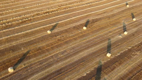 View of an agricultural field Stock Footage 165432098
