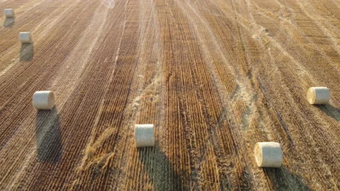View of an agricultural field Stock Footage 165433765