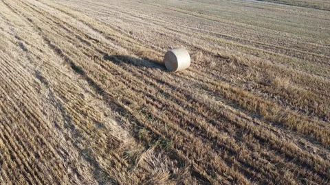 View of an agricultural field Stock Footage 165436745