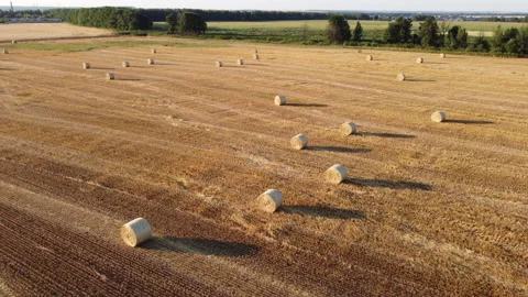 View of an agricultural field Stock Footage 165437615