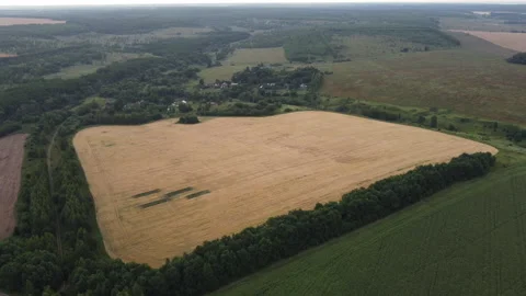 View of an agricultural field Stock Footage 165452434