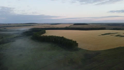 View of an agricultural field Stock Footage 165461437