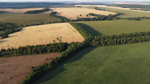 View of an agricultural field Stock Footage 165474875