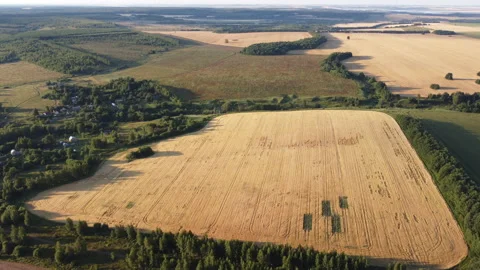 View of an agricultural field Stock Footage 165475530