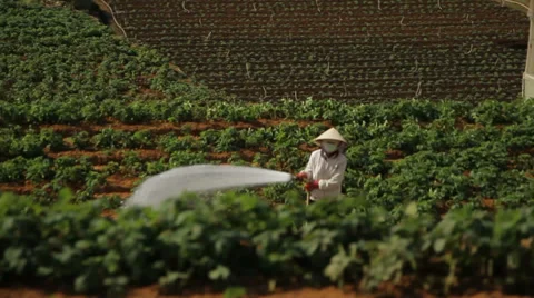 View of agricultural fields and environment from a window of quickly going train Video stock 37778144