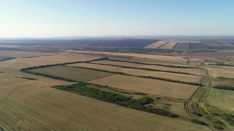 View of agricultural fields in autumn Stock Footage 153067015