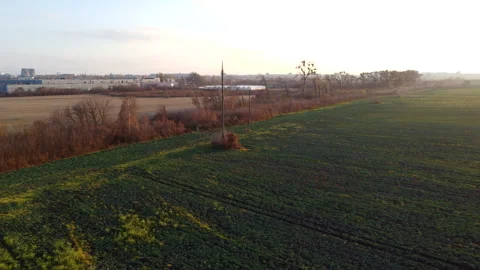 View of agricultural fields with green plants, yellow field after harvest Video stock 330678512