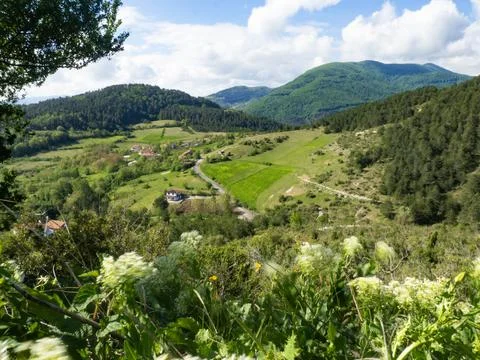 The view of agricultural fields Stock Photos