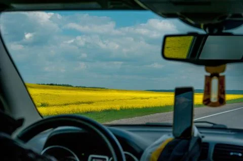 View of agricultural fields in springtime from the car. Yellow fields of oils Stock Photos