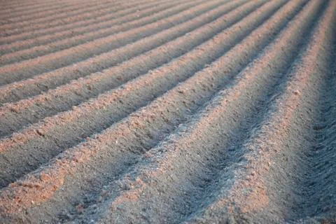 View at agricultural landscape with pattern Stock Photos