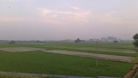 A view of agriculture fields Фото