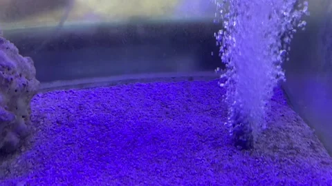 View of air bubbles rising to the surface of the water in an aquarium 스톡 동영상 324612395