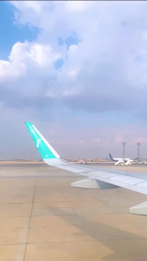 View from airplane Stock-Footage 233505962