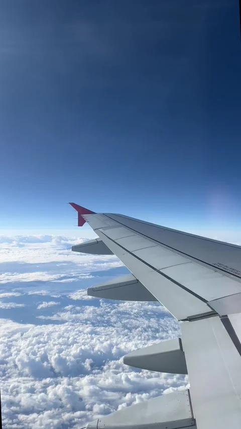 View from the airplane window. Beautiful cloudscape with blue sky.  Stock Footage 317389950