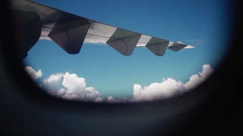 View From Airplane Window Video stock 167883102