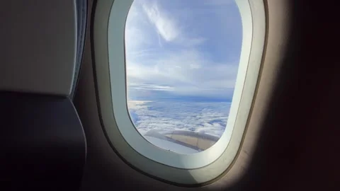View from airplane window Stock Footage 253331639