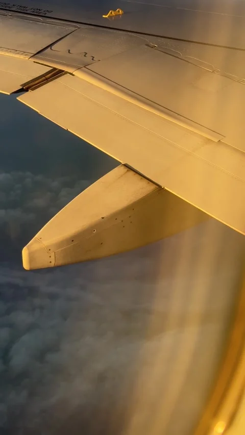 View of airplane wing glowing in the warm rays of the setting sun, casting vi Stock Footage 325649305