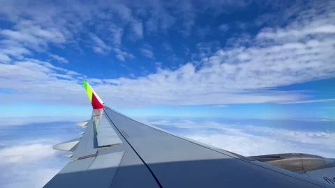 View of airplane wing while flying. Stock Footage 222399865