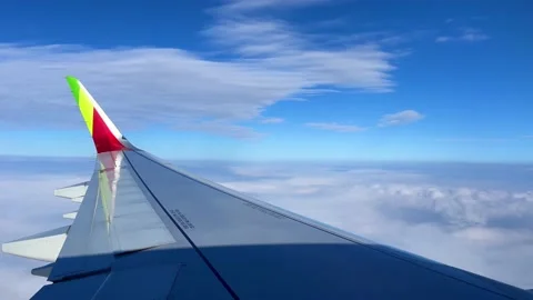 View of airplane wing while flying. Stock Footage 222399908
