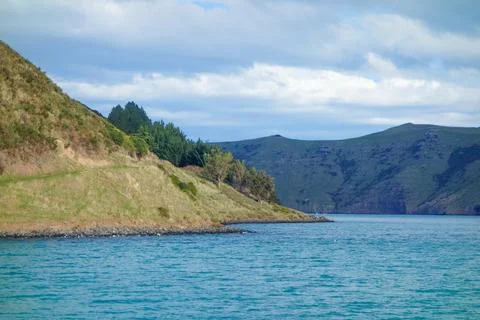 View of Akaroa Foto stock