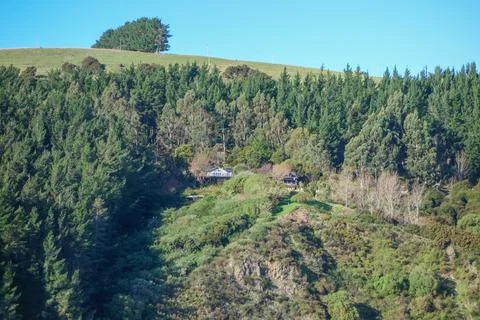 View of Akaroa Stock Photos