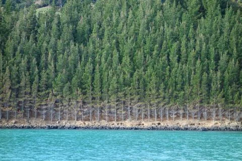 View of Akaroa Stock Photos