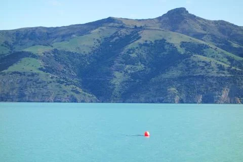 View of Akaroa Stock Photos