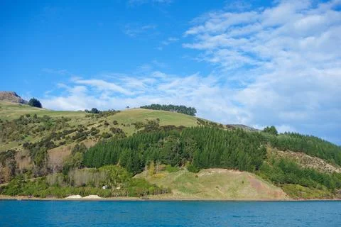 View of Akaroa Foto stock
