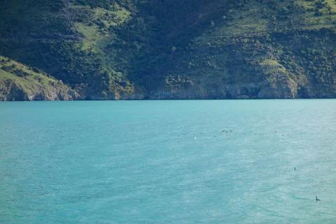View of Akaroa Stock-Fotos