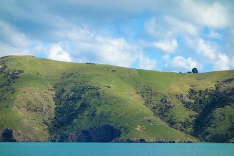 View of Akaroa Stock Photos