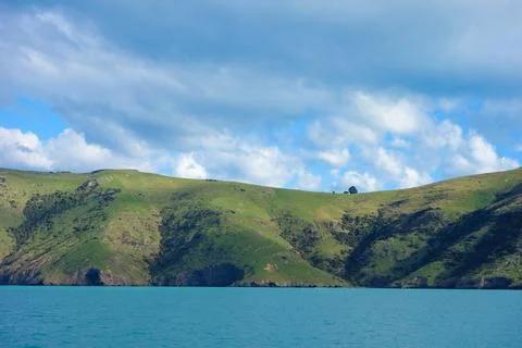 View of Akaroa Stock Photos